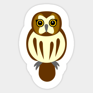 Saw-Whet Owl Sticker